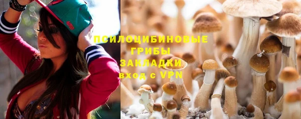 соль ск Михайловск