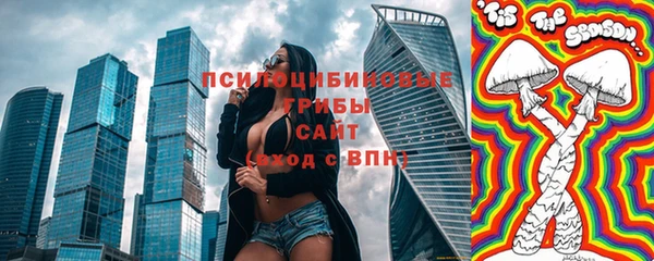 соль ск Михайловск