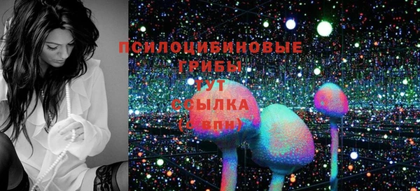 хмурый Туринск