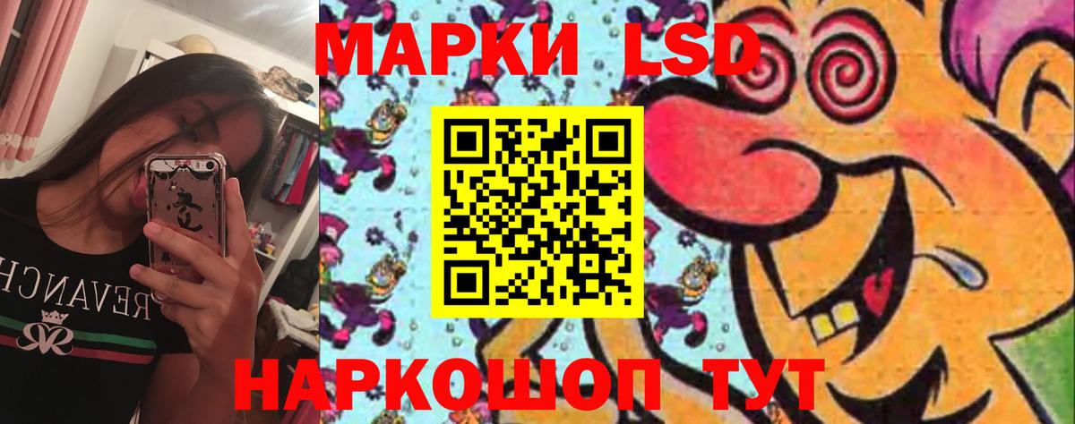 LSD-25 экстази кислота  Губкин  Лсд 25 экстази кислота 