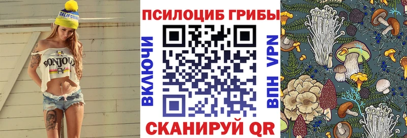 blacksprut как войти  Губкин  Галлюциногенные грибы Psilocybe 