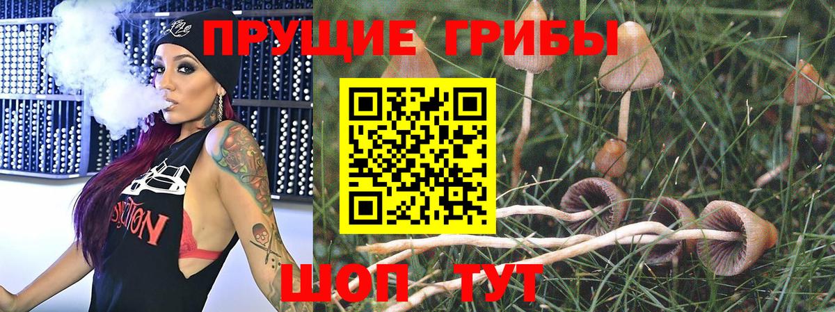 Галлюциногенные грибы GOLDEN TEACHER Губкин