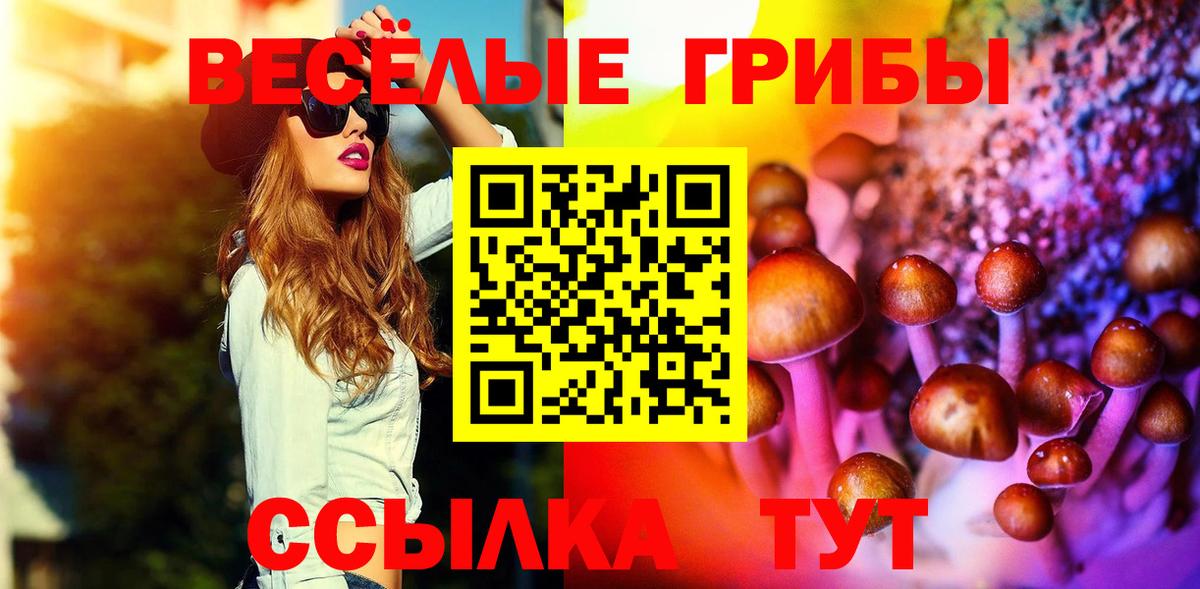 Губкин  Псилоцибиновые грибы мицелий  где купить   Вход с VPN  Псилоцибиновые грибы ЛСД 
